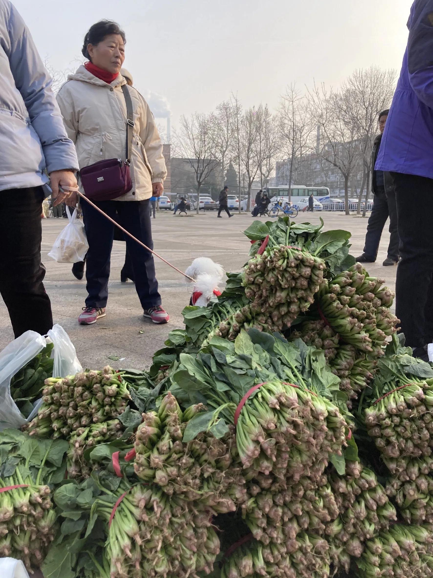 名辉豪庭最新房价动态，市场趋势与深度解析