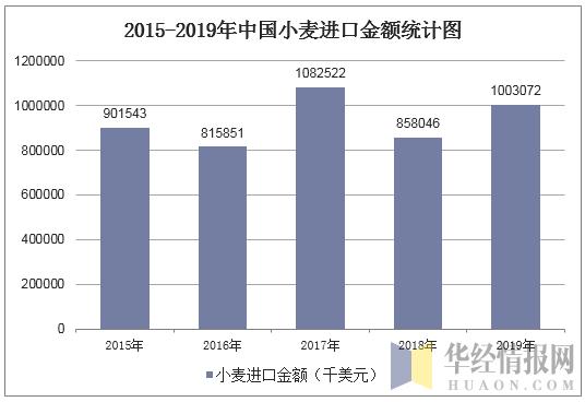 中国小麦最新消息，种植、产量与市场趋势分析