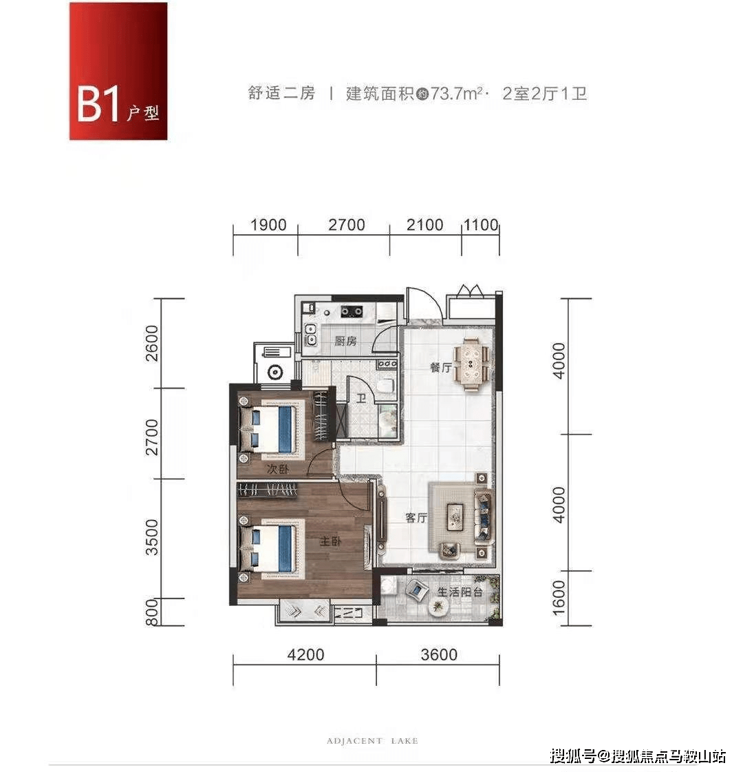 九润阁最新消息全面解析